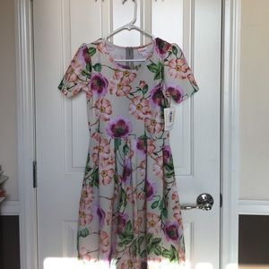 Lularoe Small Amelia