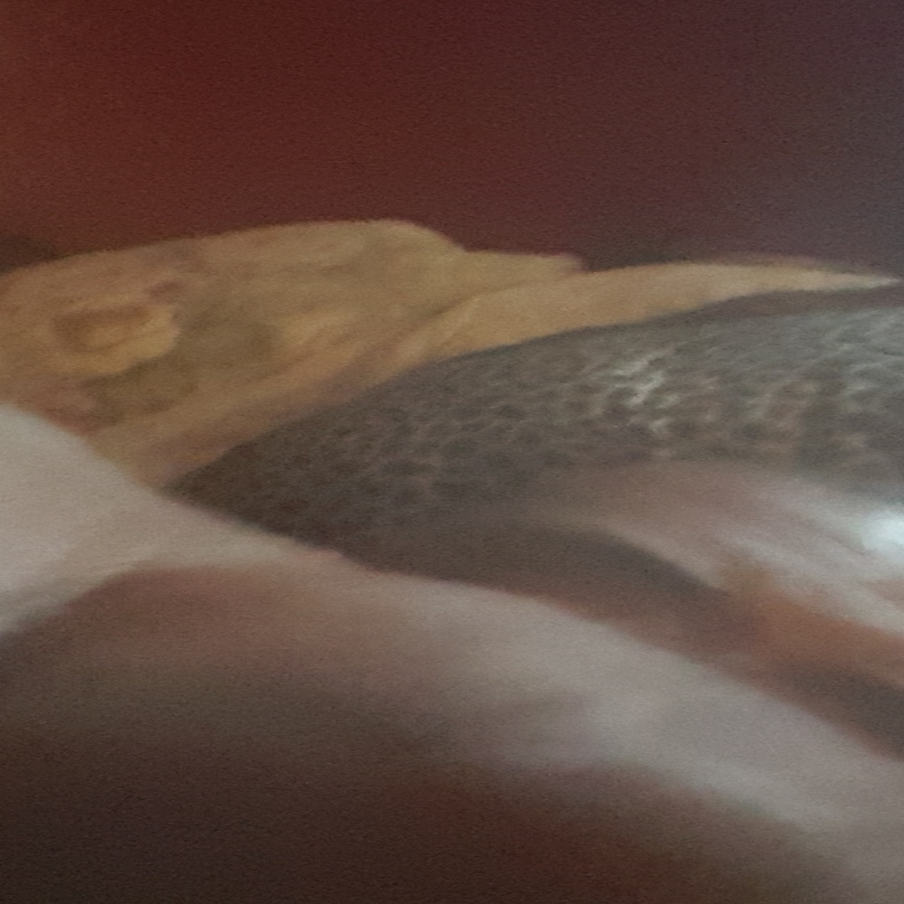 Meet your Posher, Tony