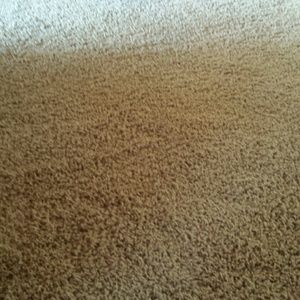 Meet your Posher, Bethany