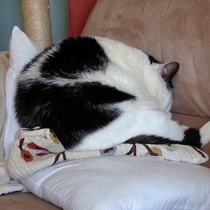 Meet your Posher, Ruth