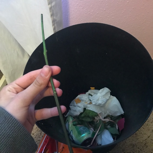 Trash - Picture 6 of 8