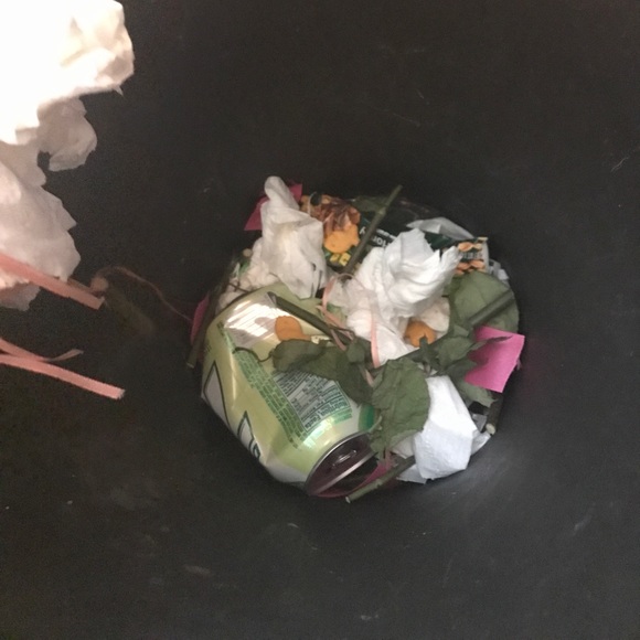 Trash - Picture 8 of 8