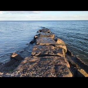 Meet your Posher, Ella