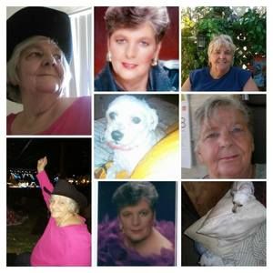 Meet your Posher, Alice