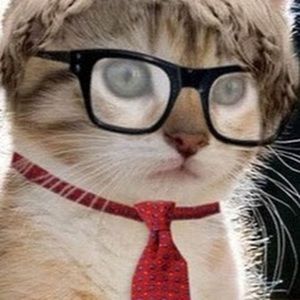 Meet your Posher, Anastasia