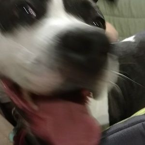 Meet your Posher, Joann