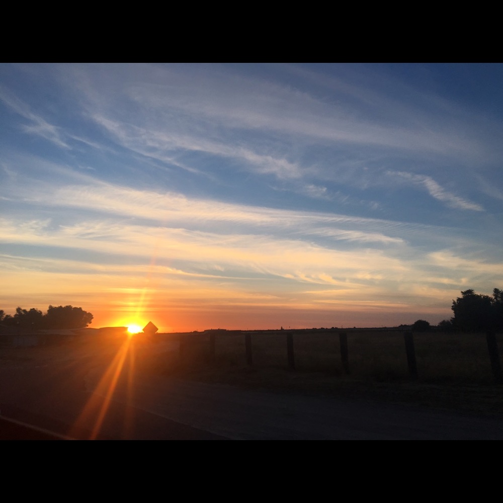 Meet your Posher, Aloe