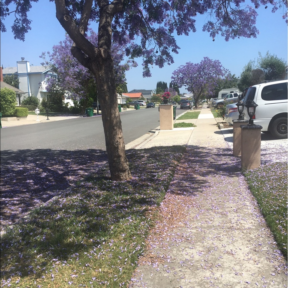 Meet your Posher, Michaela