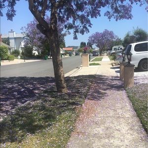 Meet your Posher, Michaela