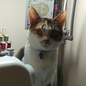 Meet your Posher, Margo