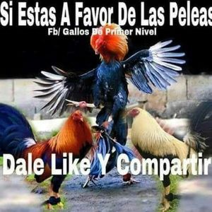 Meet your Posher, Ruben