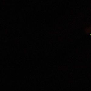 Meet your Posher, Marsha