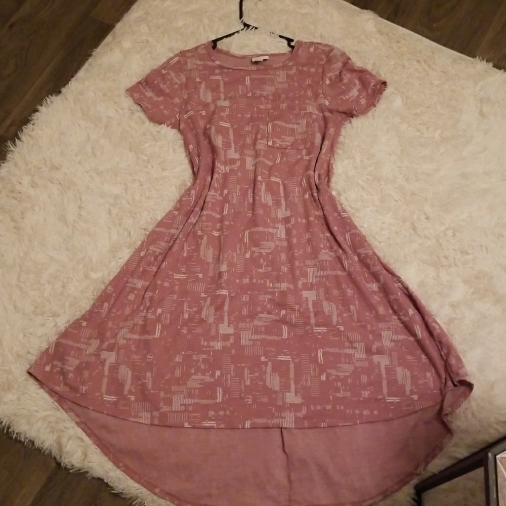 Gorgeous Mauve Lularoe Carly size Small