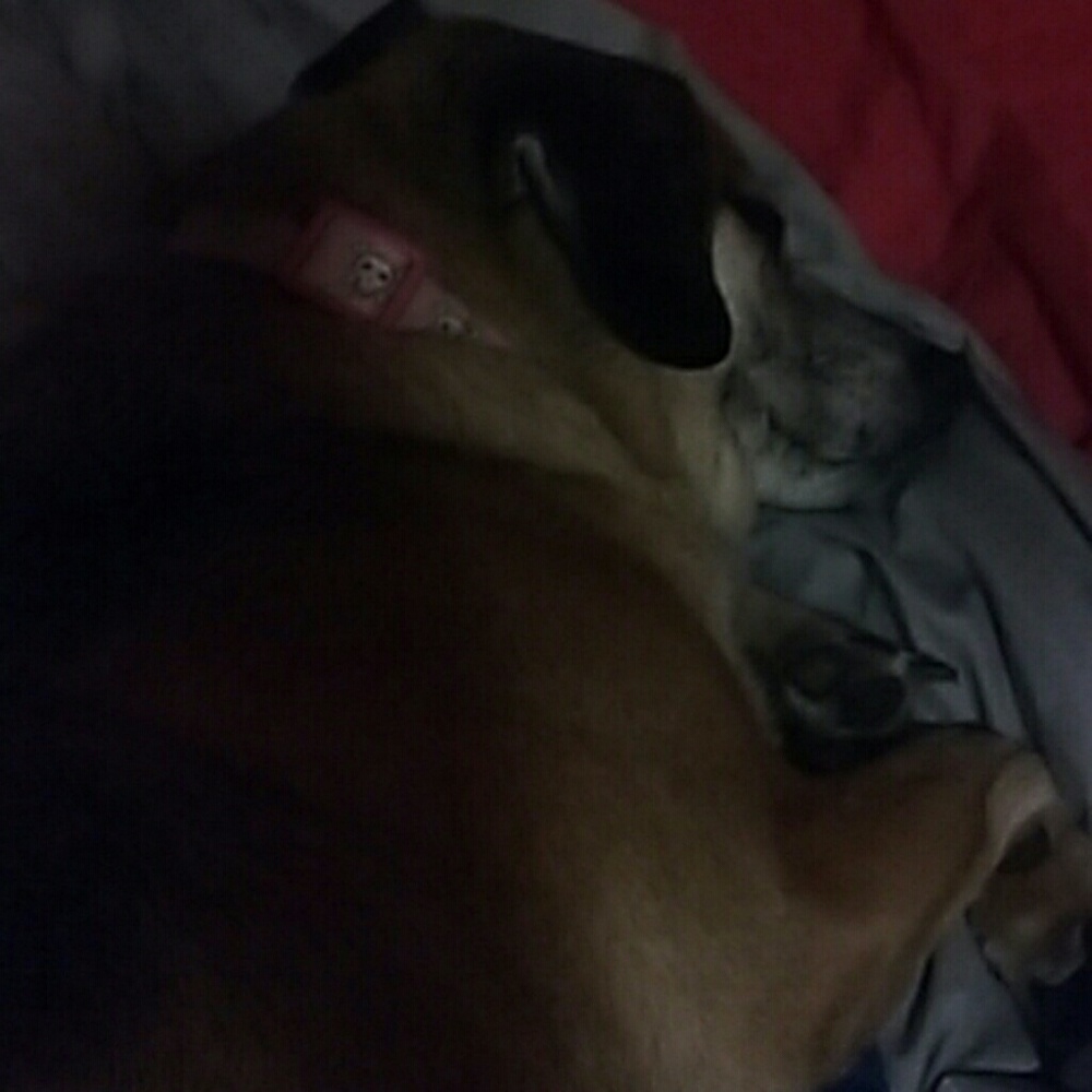 Meet your Posher, Jo