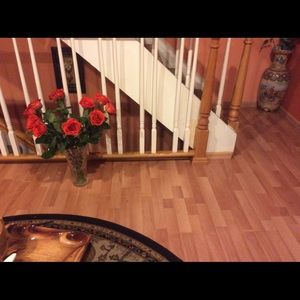 Meet your Posher, Amina