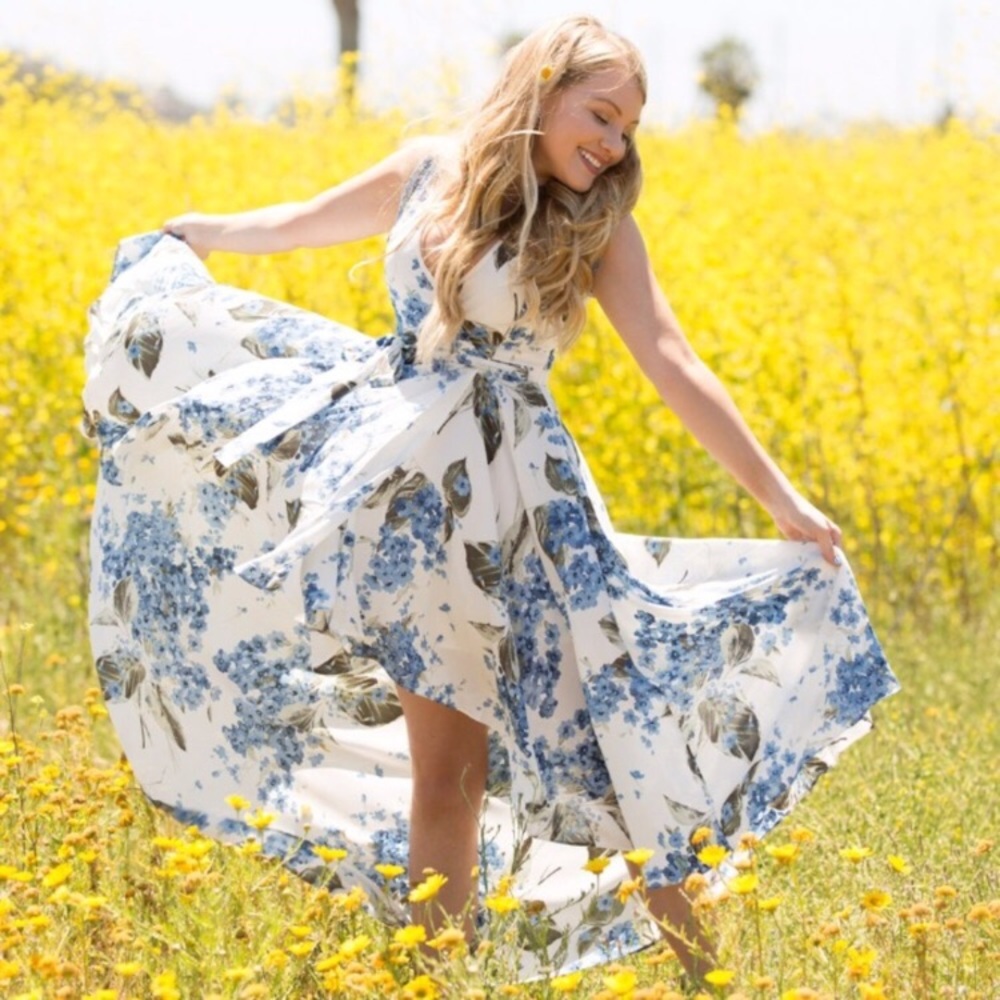 NWT Lulu's French Countryside Dress