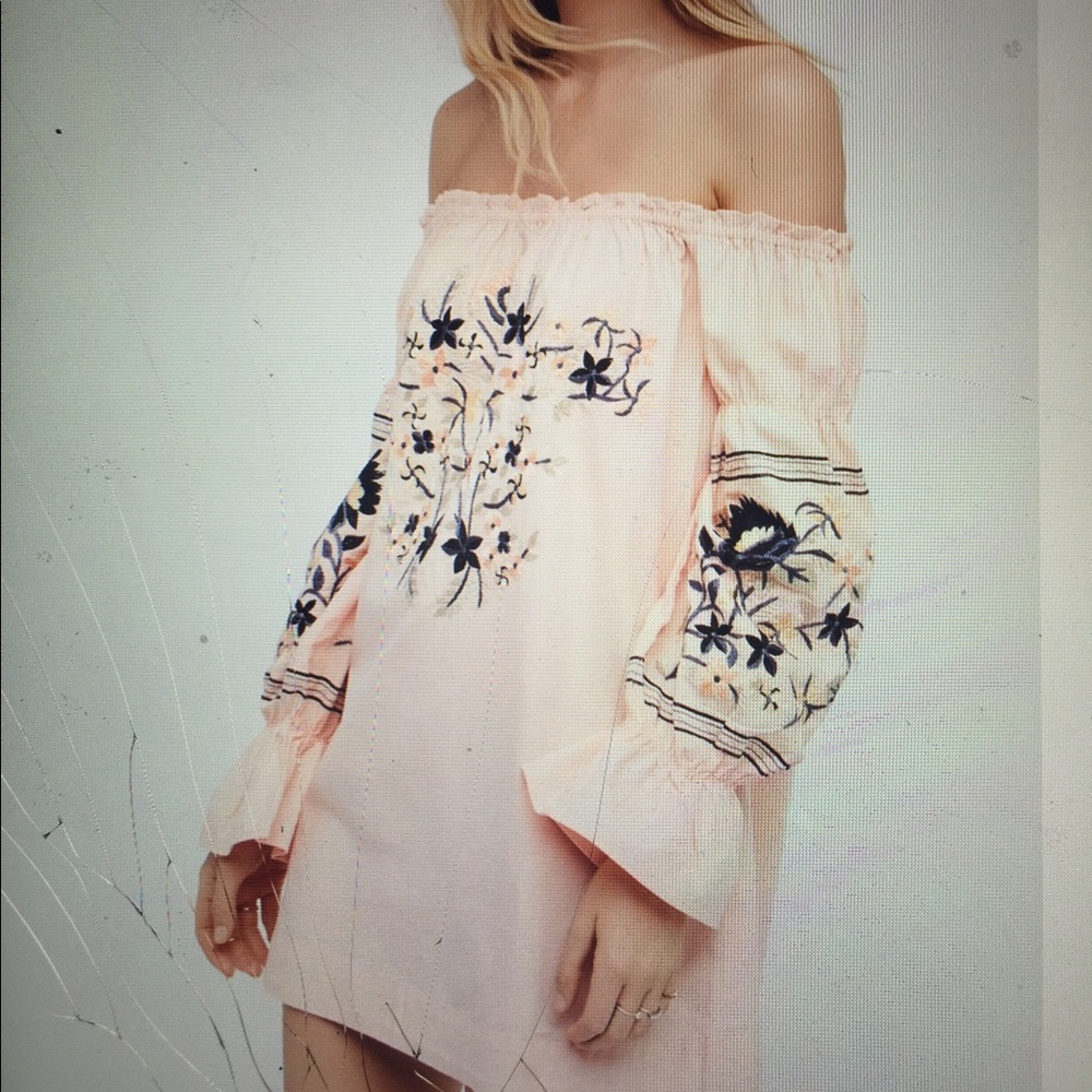 LAST ONE: FLASH SALE NWT Free People tunic, blush