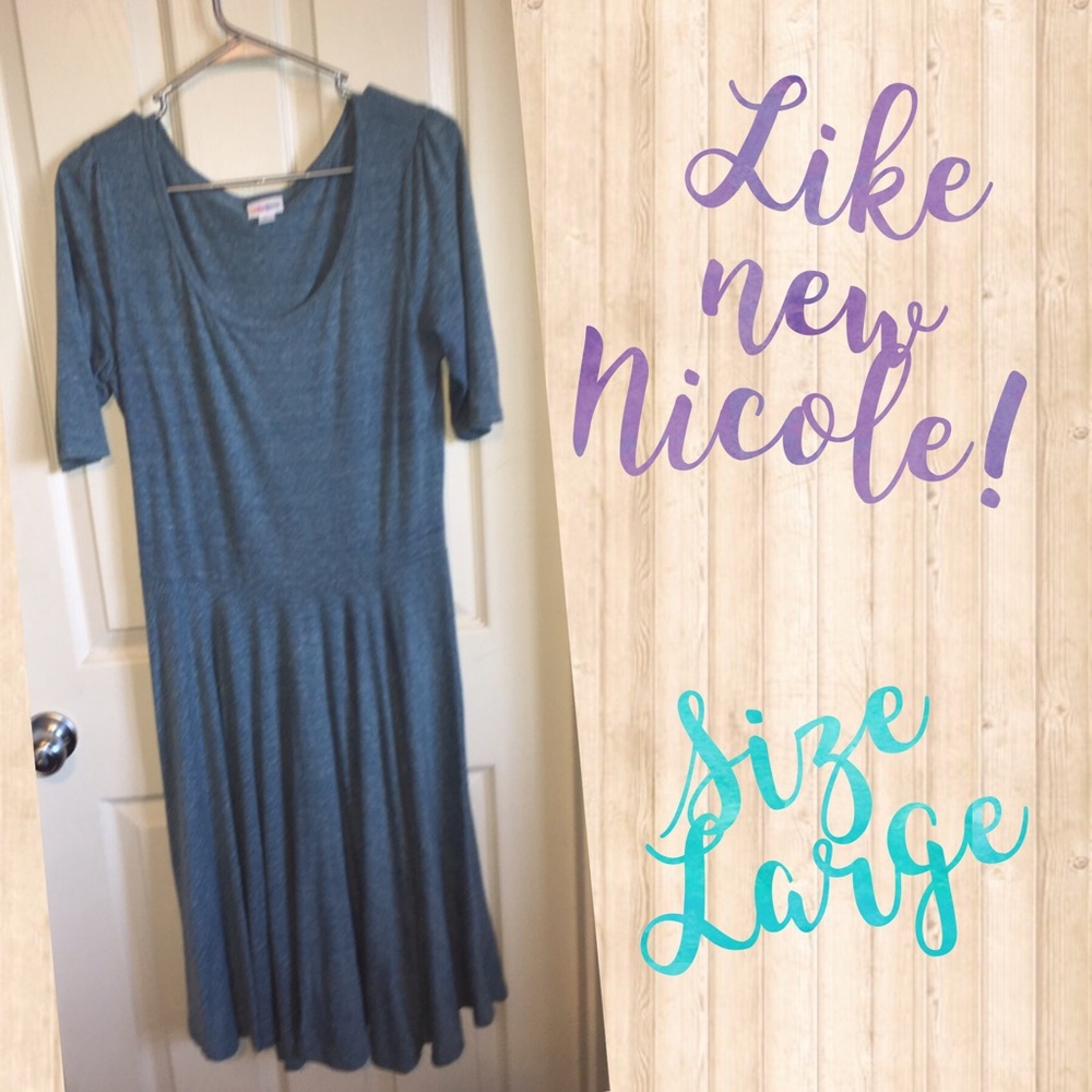 Worn once LuLaRoe Nicole! Size large!