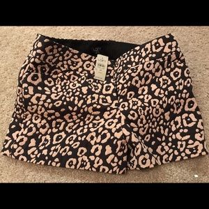 Shorts brand new size 2P
