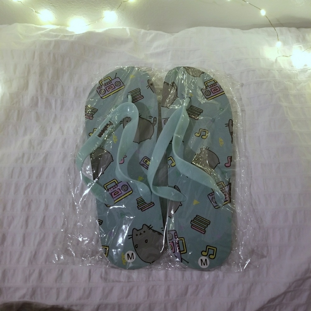 Pusheen Summer Flip Flops