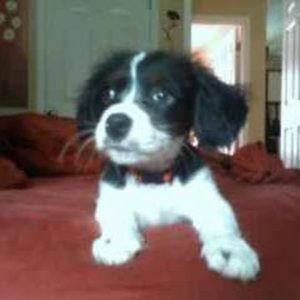 Meet your Posher, Nathaniel