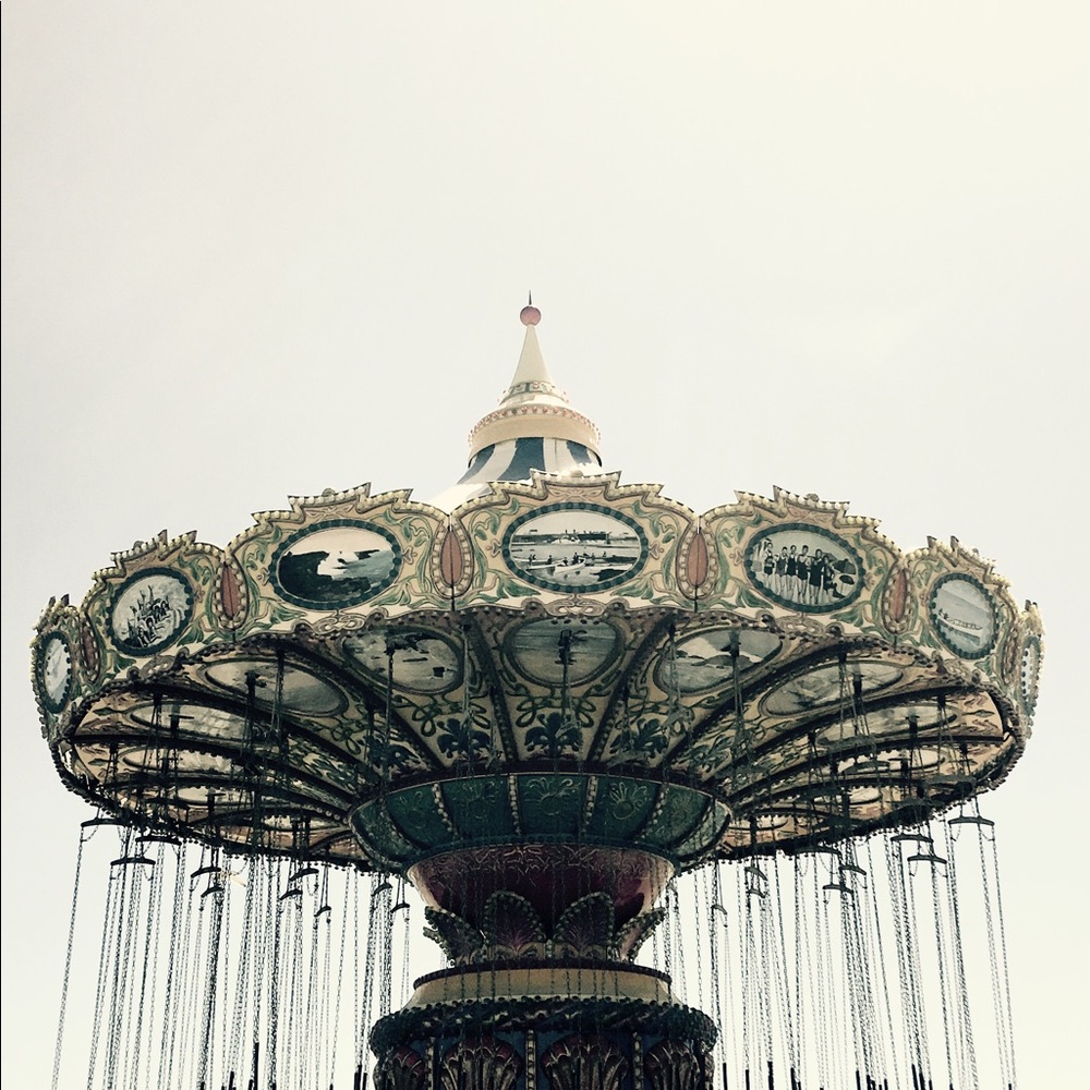 Meet your Posher, Ant