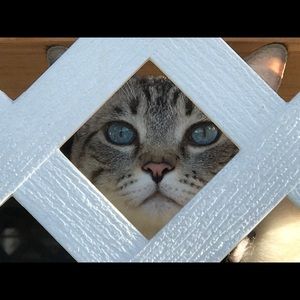 Meet your Posher, Liz