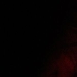 Meet your Posher, Donghung