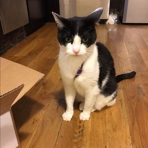 Meet your Posher, Vi