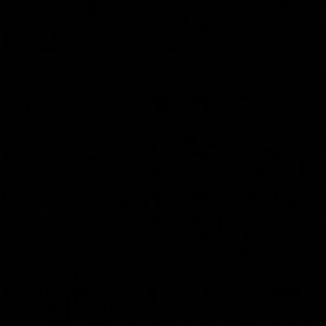 Meet your Posher, Ana