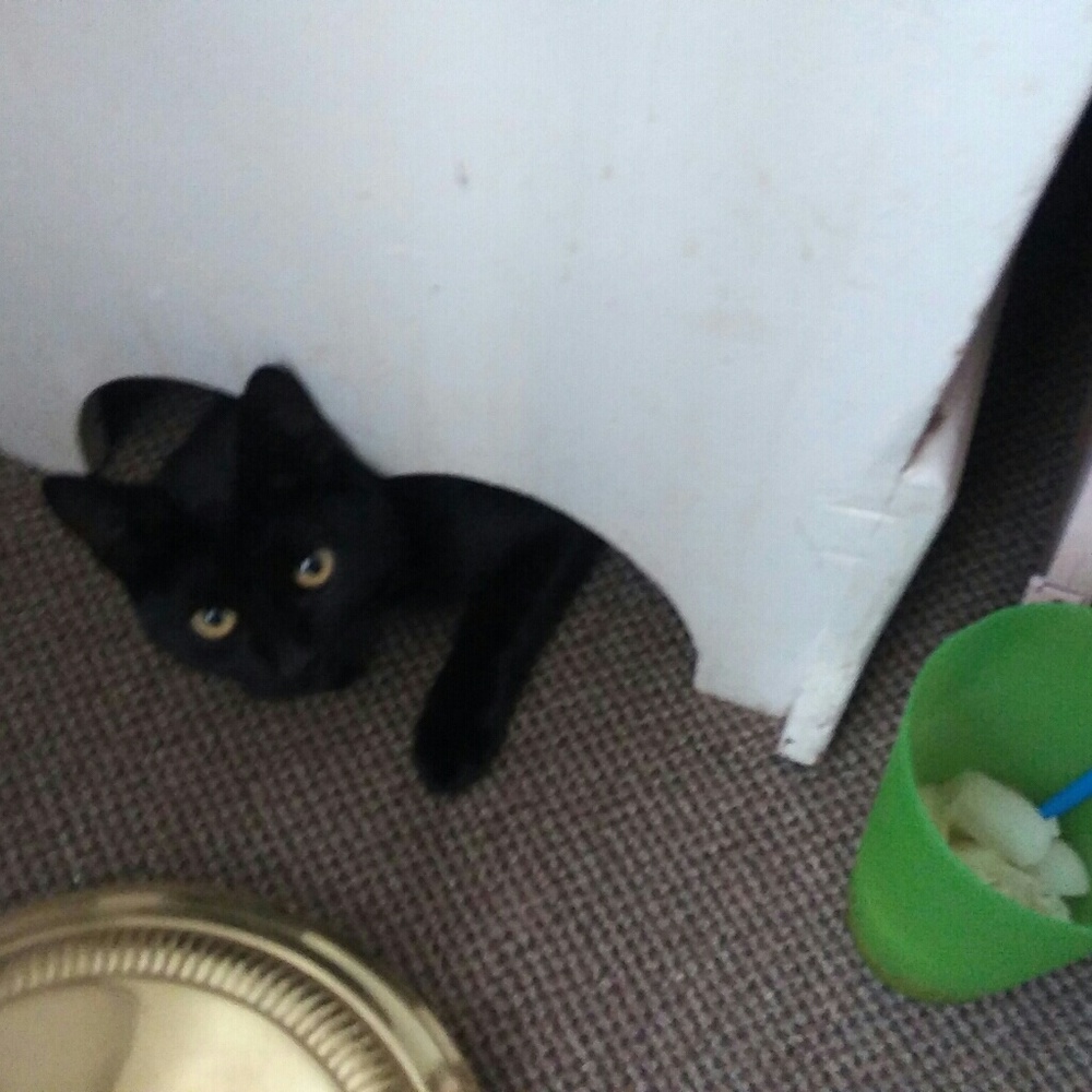 Meet your Posher, Danita