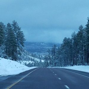 Meet your Posher, Jolene