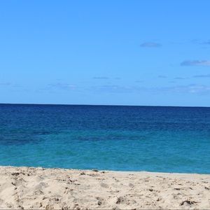 Meet your Posher, Alissa