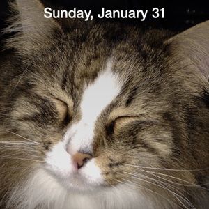 Meet your Posher, Phil