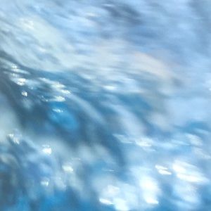 Meet your Posher, Jeri