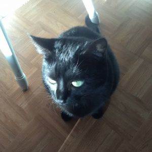 Meet your Posher, Roseann