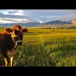 Meet your Posher, Shannon