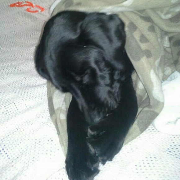 🍻🥂 now accepting offers on bundles - Picture 6 of 17