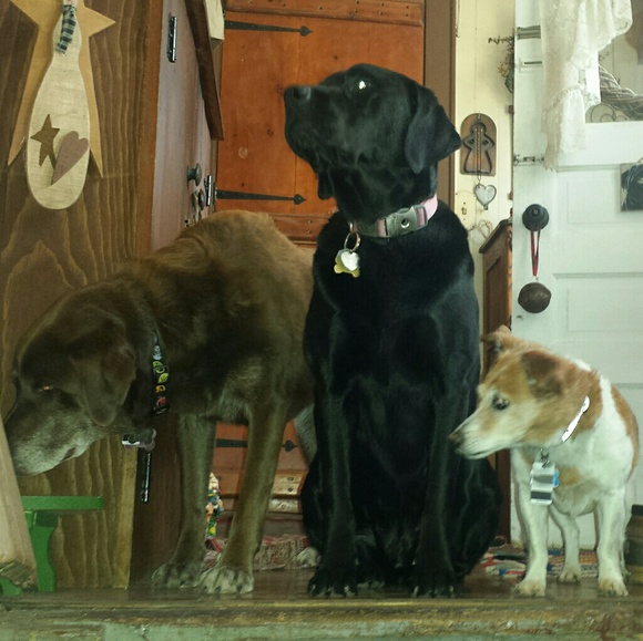 🍻🥂 now accepting offers on bundles - Picture 10 of 17