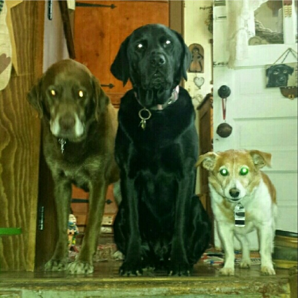 🍻🥂 now accepting offers on bundles - Picture 9 of 17