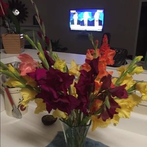 Meet your Posher, Riseris