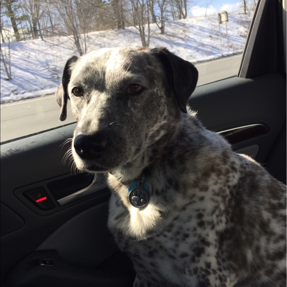 Meet your Posher, Caryn