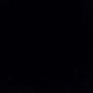 Meet your Posher, Rose