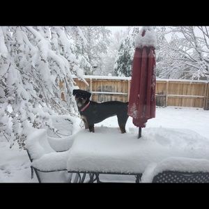 Meet your Posher, Elise