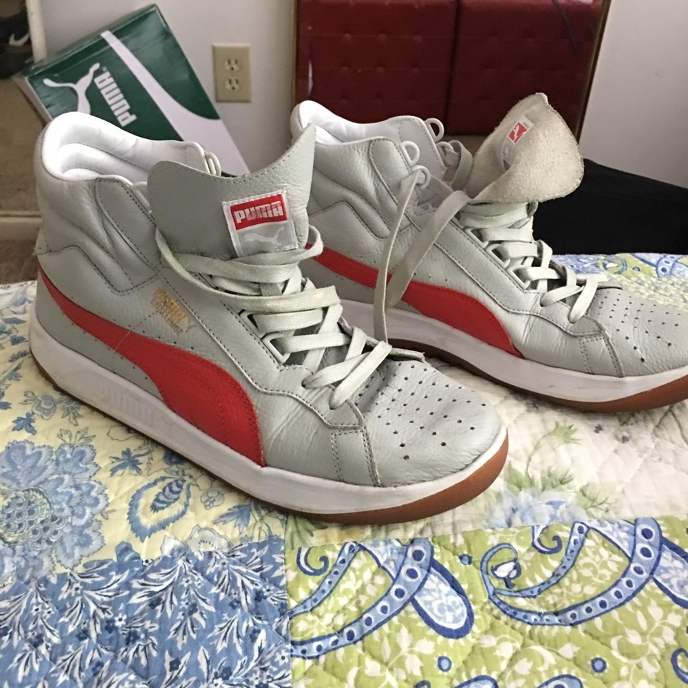 Puma challenge