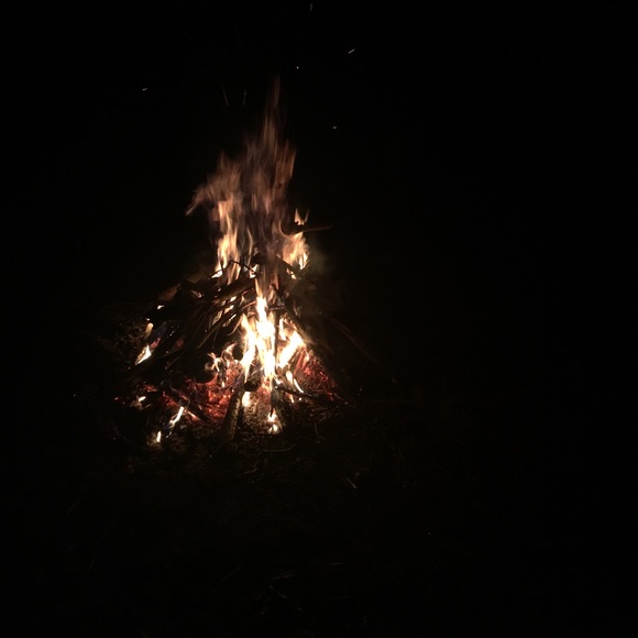 Meet your Posher, Blaise - Picture 1 of 1