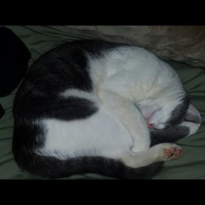 Meet your Posher, Savannah