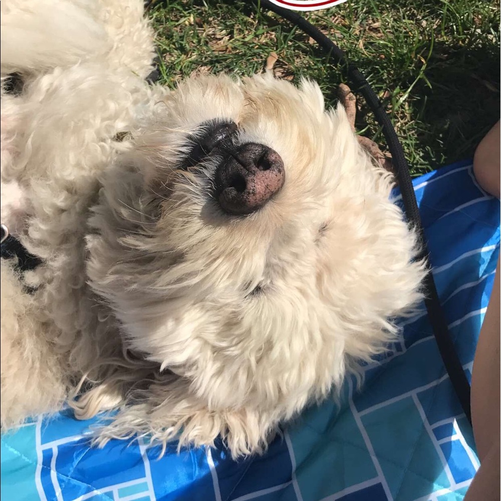 Meet your Posher, Victoria