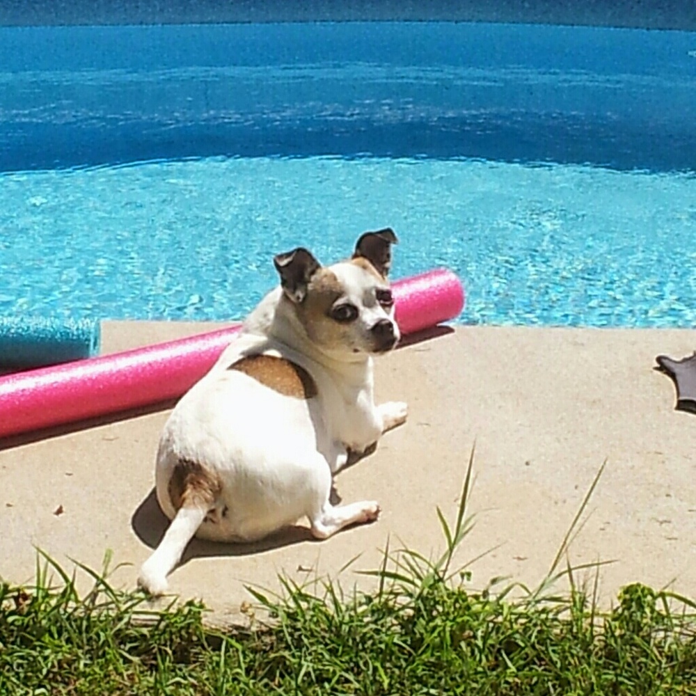 Meet your Posher, Linda