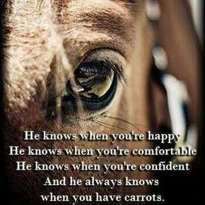 Meet your Posher, Jacqueline